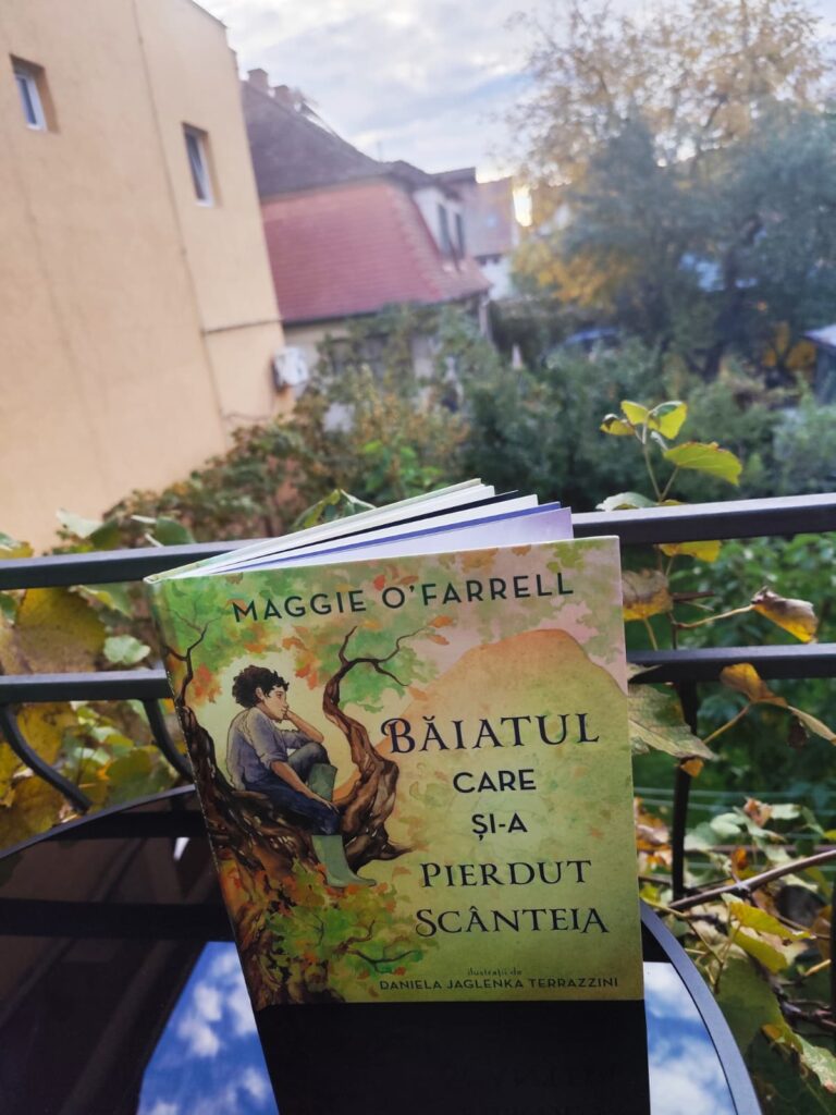 cărți pentru copii - băiatul care și-a pierdut scânteia